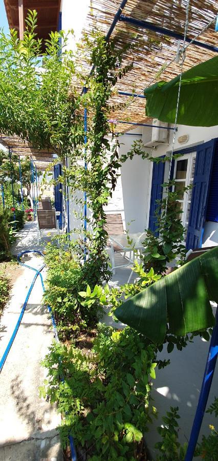 Jenny Apartments كارلوفاسي المظهر الخارجي الصورة