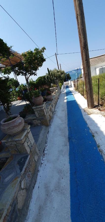 Jenny Apartments كارلوفاسي المظهر الخارجي الصورة