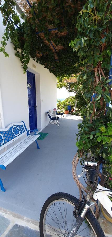 Jenny Apartments كارلوفاسي المظهر الخارجي الصورة