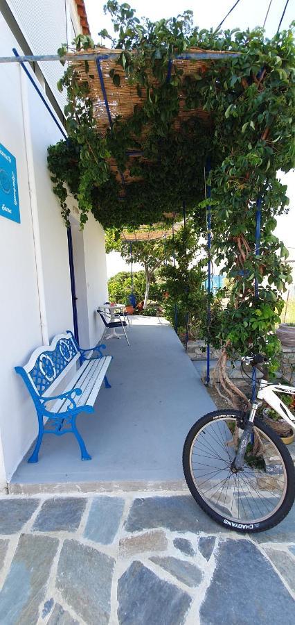 Jenny Apartments كارلوفاسي المظهر الخارجي الصورة