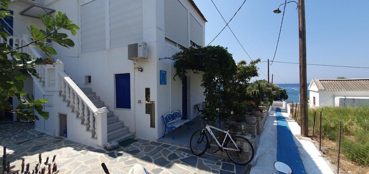 Jenny Apartments كارلوفاسي المظهر الخارجي الصورة