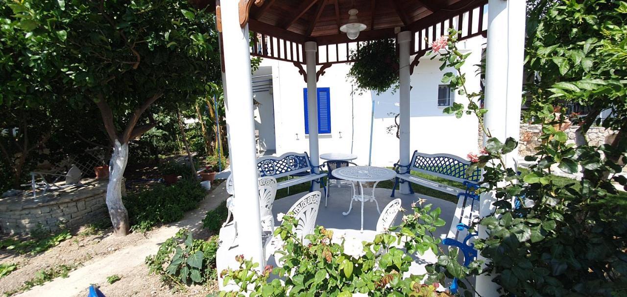Jenny Apartments كارلوفاسي المظهر الخارجي الصورة