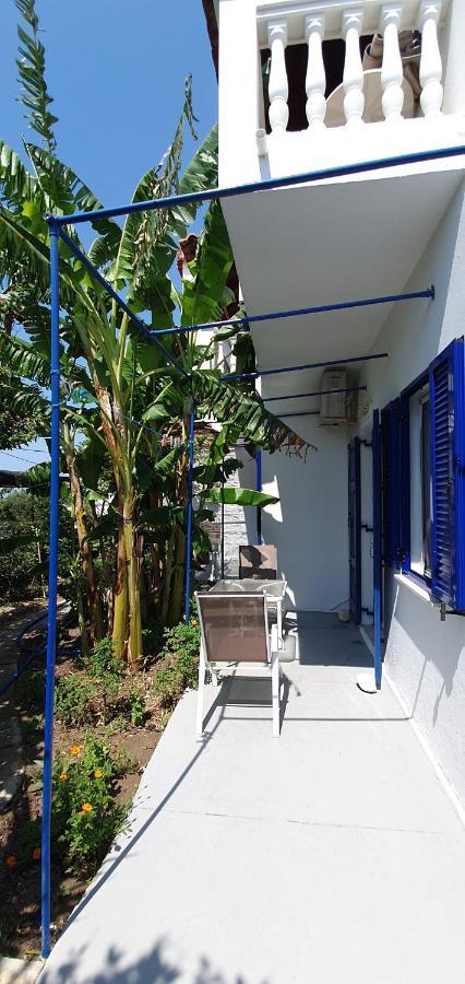 Jenny Apartments كارلوفاسي المظهر الخارجي الصورة